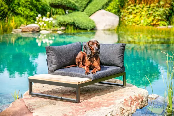 Hundebett aus Aluminium mit Kissen und Ablagefläche, 100…